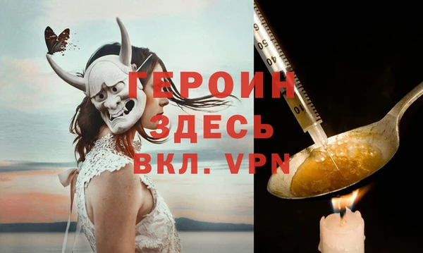 хмурый Пересвет