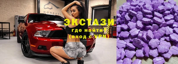 хмурый Пересвет