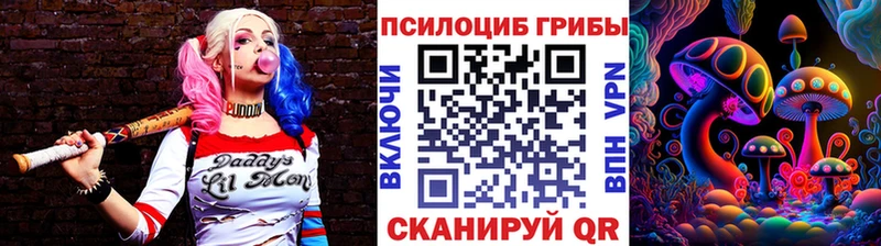 Псилоцибиновые грибы Cubensis  хочу наркоту  Шилка 